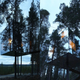 Image for article titled These incredible, reflective buildings look almost invisible